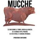SPAZIO PIERRI: MUCCHE