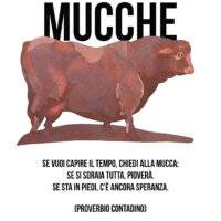 SPAZIO PIERRI: MUCCHE